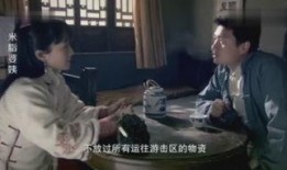 米脂婆姨在线观看,在线重温陕北风情，感受民间艺术魅力